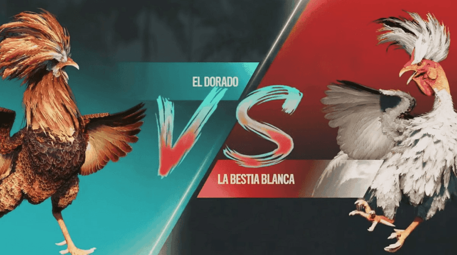 888jogo